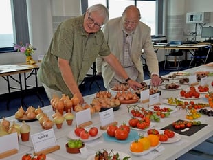  Town flower show celebrates 90th event